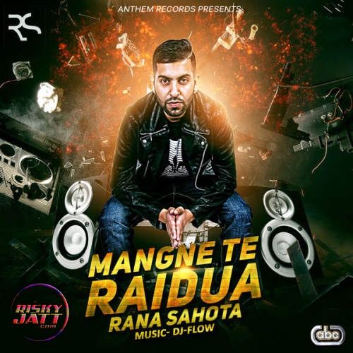 Mangne Te Raidua Rana Sahota, DJ Flow