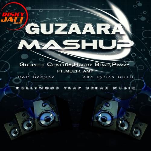 Guzaara Mashup Harry Brar, Gurpreet Chattha, Pavvi