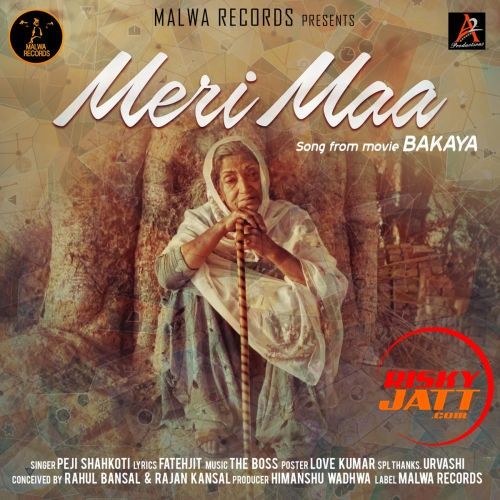 Meri Maa Peji Shahkoti