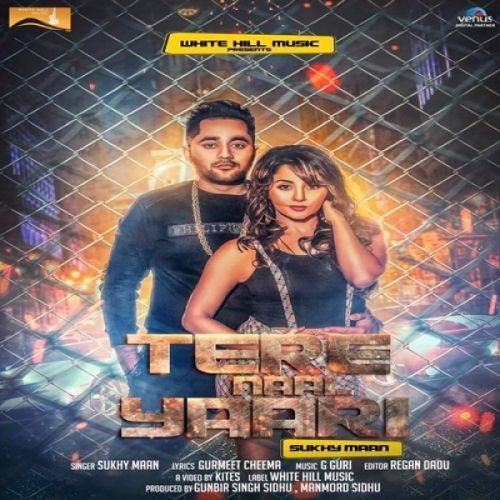 Tere Naaal Yaari Sukhy Maan