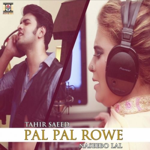 Pal Pal Rowe Naseebo Lal, Tahir Saeed