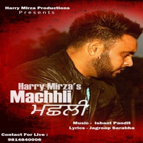 Machhli Harry Mirza