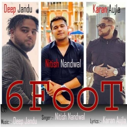 Nitish Nandwal picture