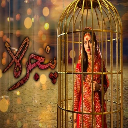 Pinjra Rahat Fateh Ali Khan, Noraan Laal