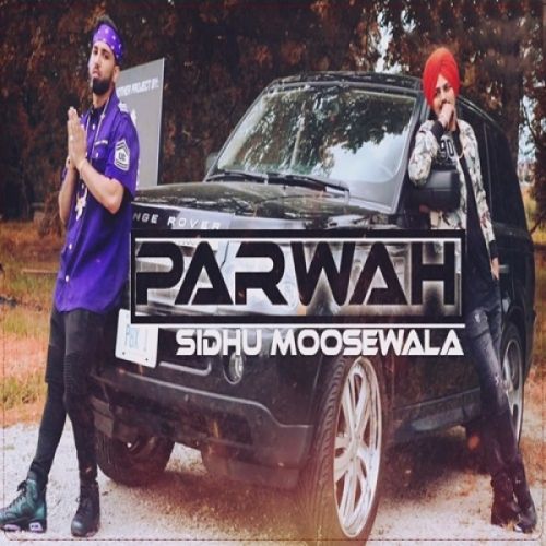Parwah Sidhu Moose Wala, Nikhil