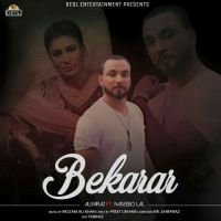 Bekarar Naseebo Lal, Ali Faraz