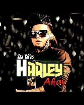 Harley A Kay