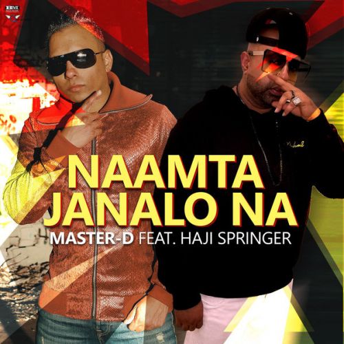 Naamta Janalo Na Master D, Haji Springer