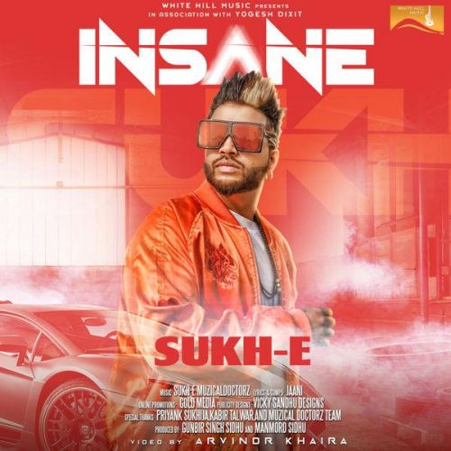 Insane Sukh E Muzical Doctorz