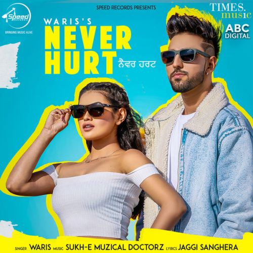 Never Hurt Waris, Sukh E Muzical Doctorz