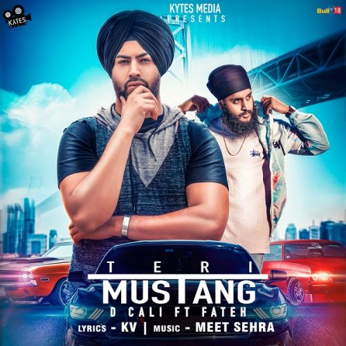 Teri Mustang Fateh, D Cali