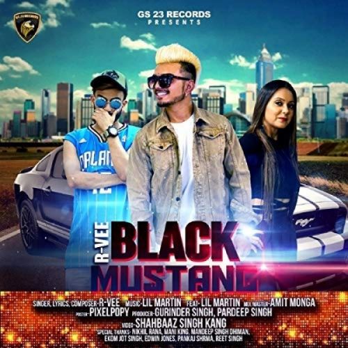 Black Mustang R Vee