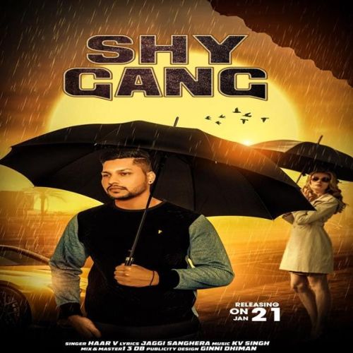 Shy Gang Haar V
