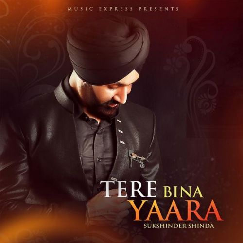 Tere Bina Yaara Sukshinder Shinda, Neetu Bhalla