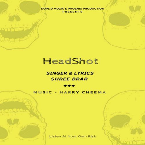 Head Shot Shree Brar