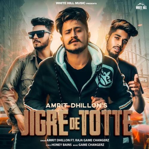 Jigre De Totte Amrit Dhillon, Raja Game Changerz