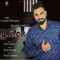 Black Sharry Sandhu