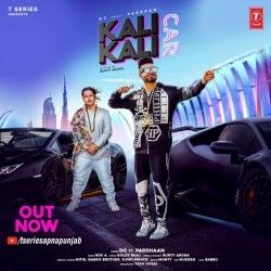 Kali Kali Car Pardhaan, DC