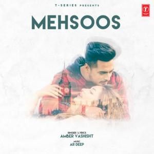Mehsoos Amber Vashisht