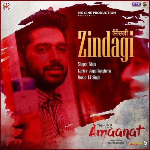 Zindagi Ninja