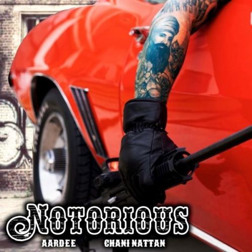 Notorious Aardee