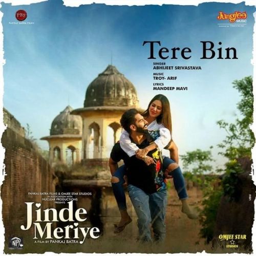 Tere Bin Abhijeet Srivastava