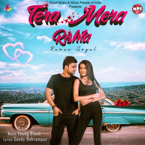 Tera Mera Rishta Raman Goyal
