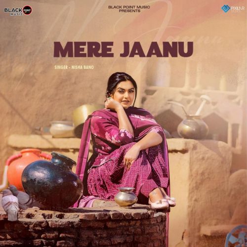 Mere Jaanu Nisha Bano