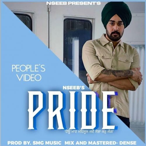 Pride Nseeb
