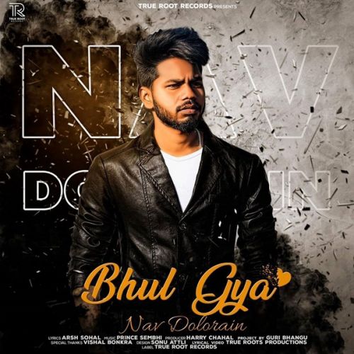 Bhul Gya Nav Dolorain