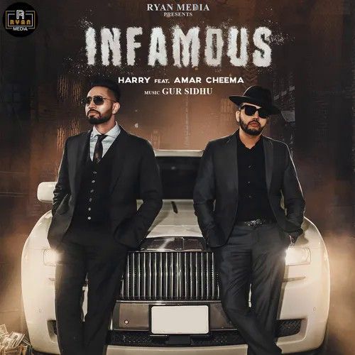 Infamous Harry