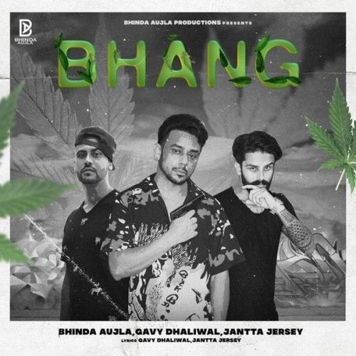 Bhang Bhinda Aujla, Gavy Dhaliwal