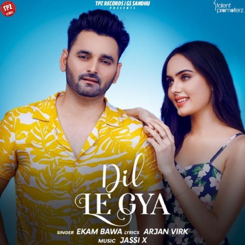 Dil Le Gya Ekam Bawa