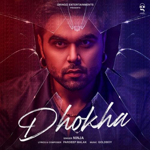 Dhokha Ninja