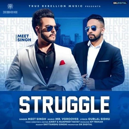 Struggle Meet Singh