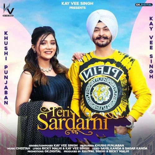 Teri Sardarni Kay Vee Singh