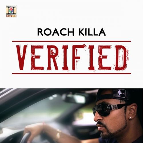 Shooting Star Roach Killa , Shivankur Vashist