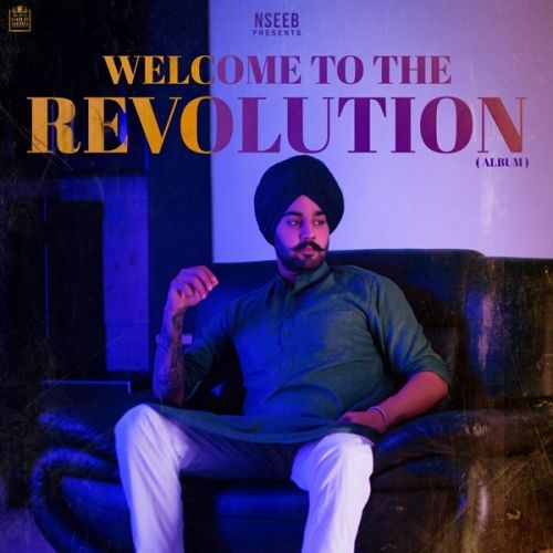 Revolution Nseeb