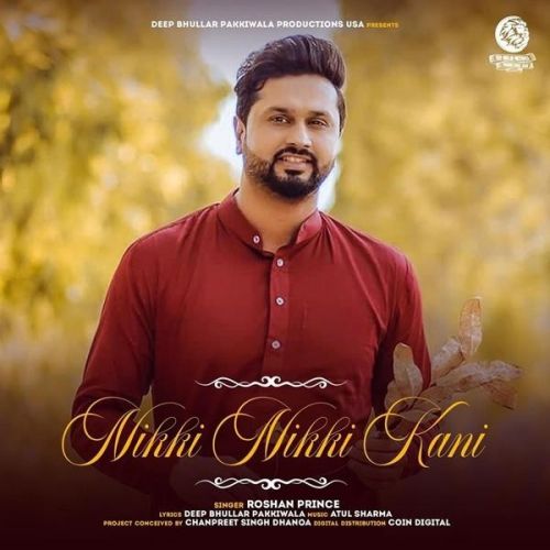Nikki Nikki Kani Roshan Prince