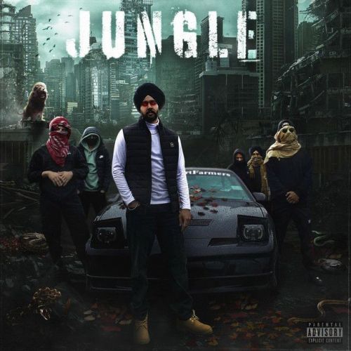 Jungle Nseeb