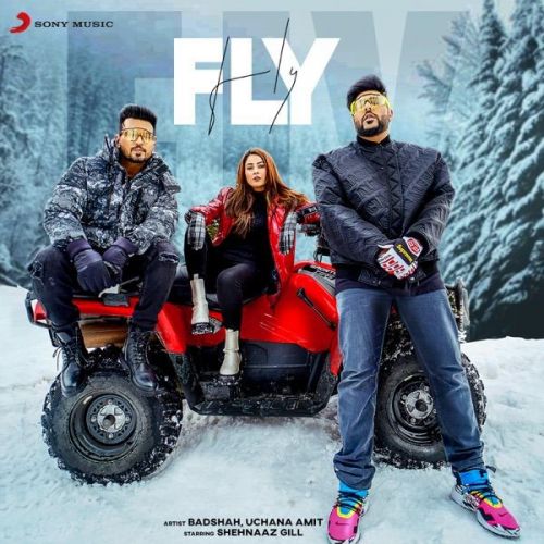 Fly Badshah, Uchana Amit