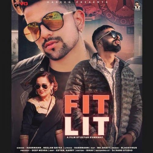 Fitlit MrDhatt, HarrMann