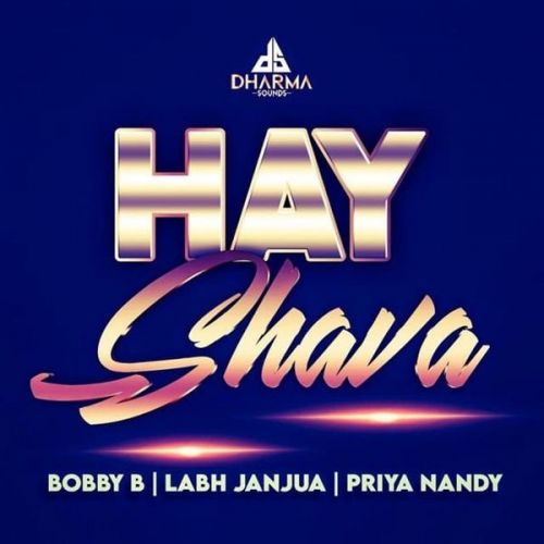 Hay Shava Labh Janjua, Bobby B