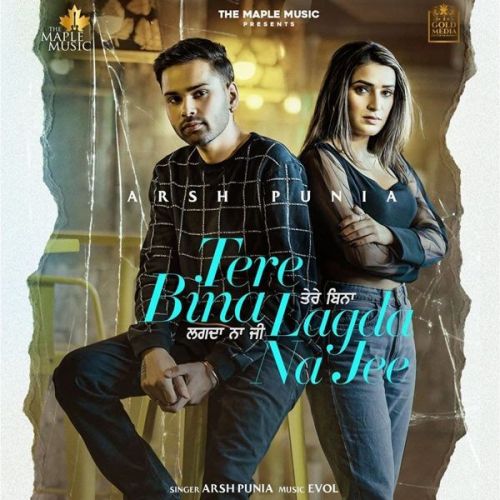 Arsh Punia picture