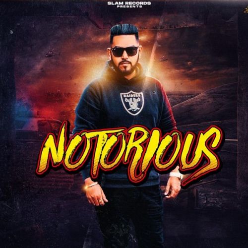 Notorious DSP