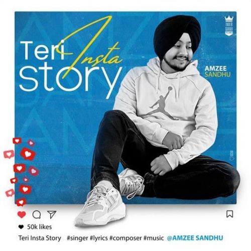 Teri Insta Story Amzee Sandhu