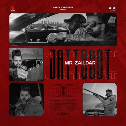 Mr Zaildar picture
