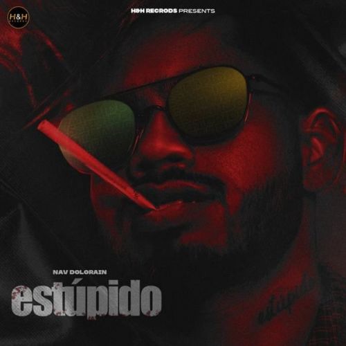 Estupido Nav Dolorain