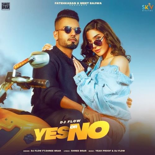 Yes or No DJ Flow, Shree Brar