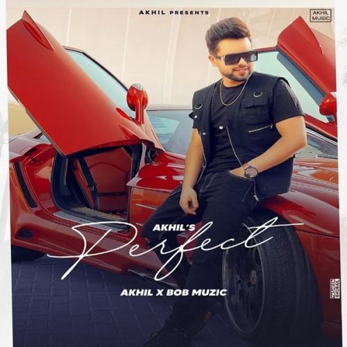 Perfect Akhil